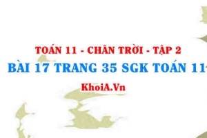 Bài 17 trang 35 Toán 11 Tập 2 Chân trời sáng tạo